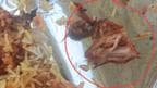 Pune Man Found Chicken In Paneer Biryani, Video Viral
