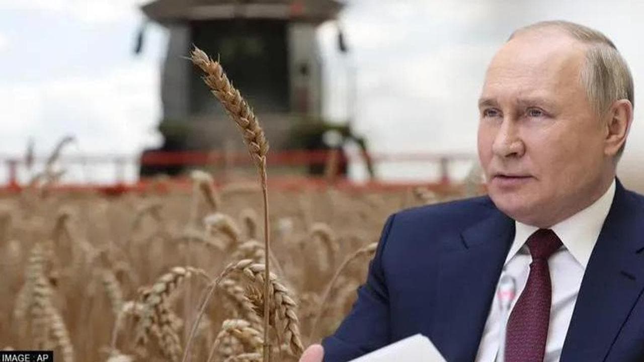 Putin: Grain Exports