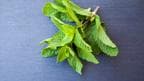 Mint Leaves when added to beverages not only enhances flavour but reduces your body heat.