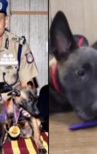 Chennai Police K9 Squad Gets Adorable F1-Named Reinforcements 
