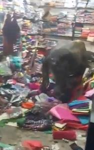 Bull fight in saree store goes viral